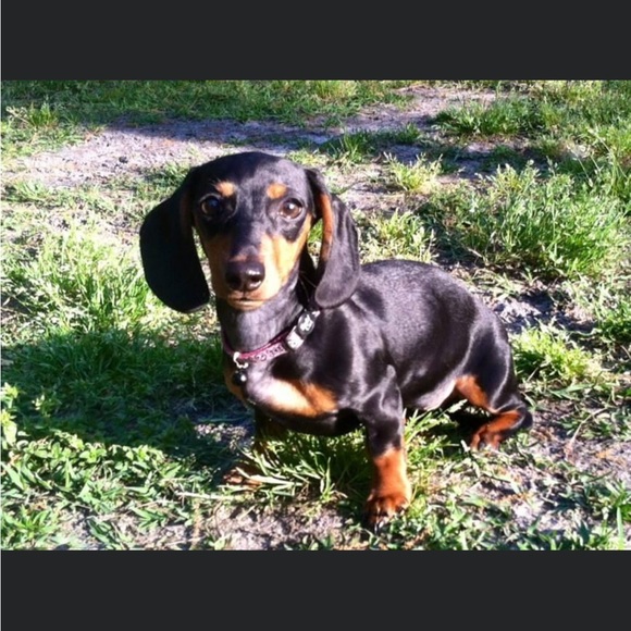 Meet your Posher, Jen - Picture 7 of 12